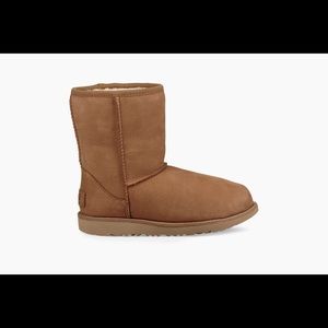 UGG Classics II